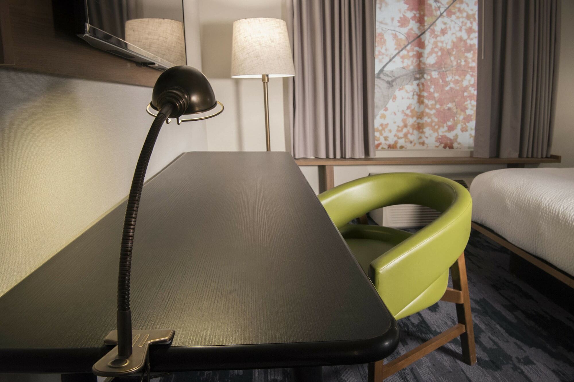 Fairfield Inn & Suites By Marriott Tampa Wesley Chapel Εξωτερικό φωτογραφία